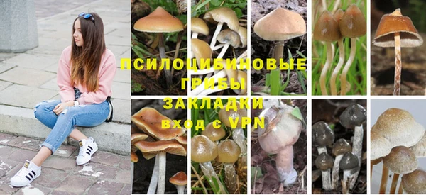 прущая мука Гусев