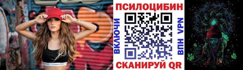 Купить  Избербаш  Галлюциногенные грибы Psilocybine cubensis 